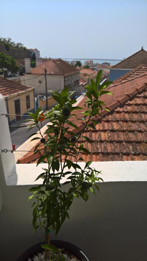 Casa Do Viso Villa Setúbal Eksteriør bilde